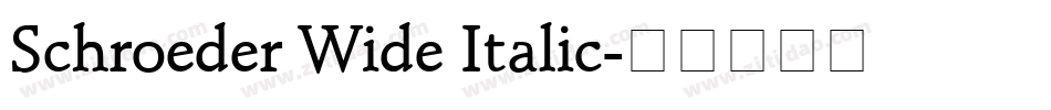 Schroeder Wide Italic字体转换